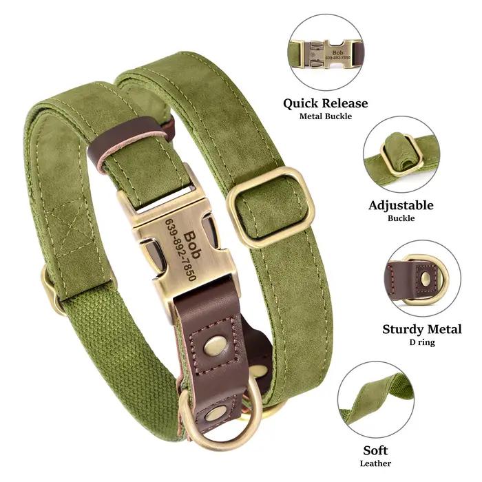 Collier de chien personnalisé colliers