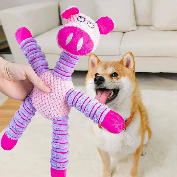 Jouet en peluche pour chien