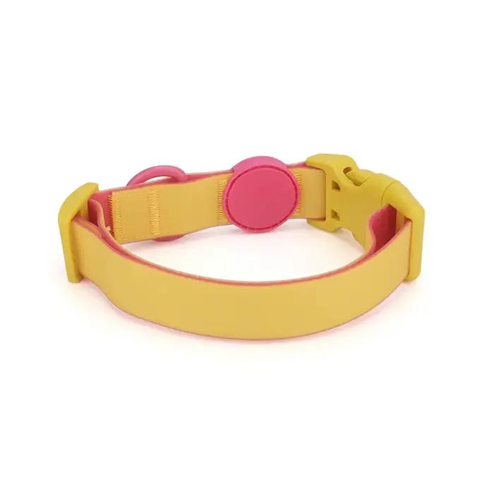 Collier pour petit chien couleur Macaron