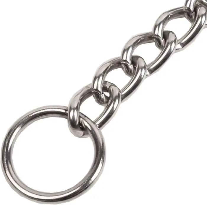 Collier de dressage sans soudure en acier inoxydable 304 pour chien