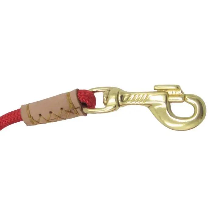 Laisse pour chien longue pour dressage