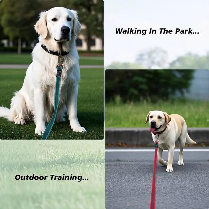 Laisse longue pour gros chien 10M 5M 3M 2M corde de Traction d'entraînement Anti-évasion Non Silp 3 2 mètres laisses en Nylon durables pour animaux de compagnie de taille moyenne et grande