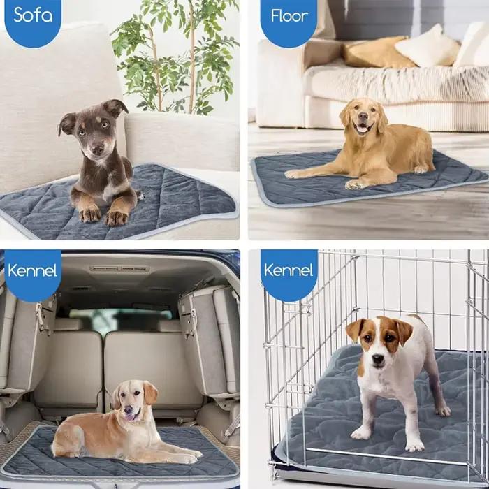 Coussin auto-chauffant pour animaux de compagnie