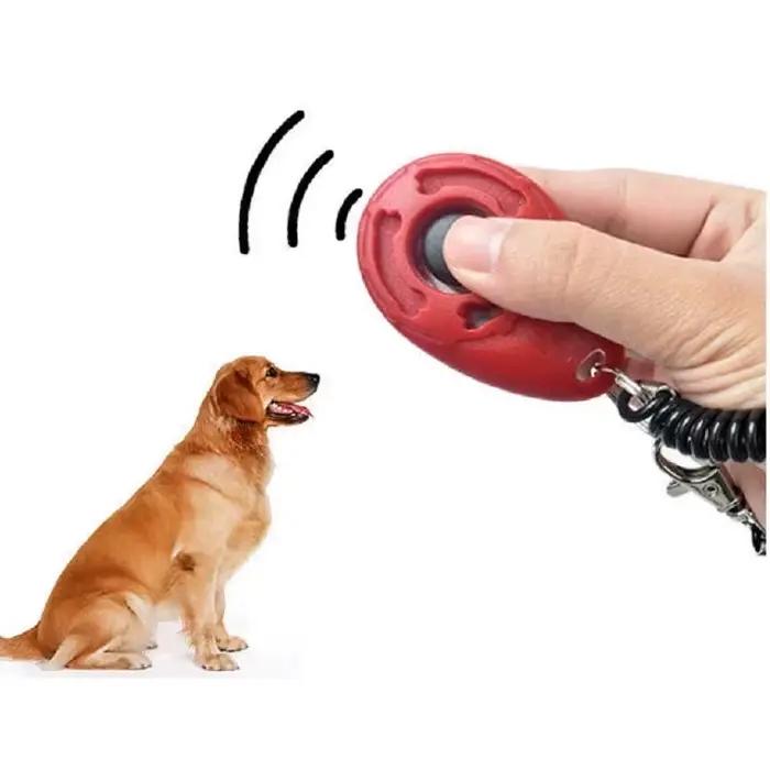 Clicker d'entraînement pour chien