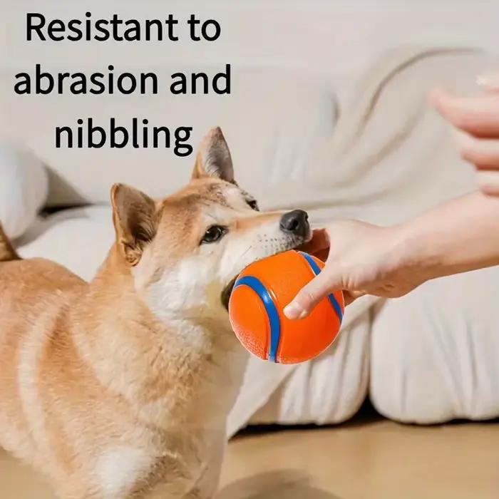 Balle de chien indestructible