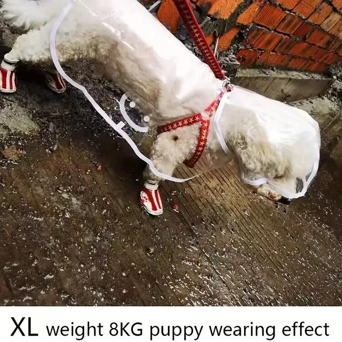Imperméable transparent imperméable pour chien