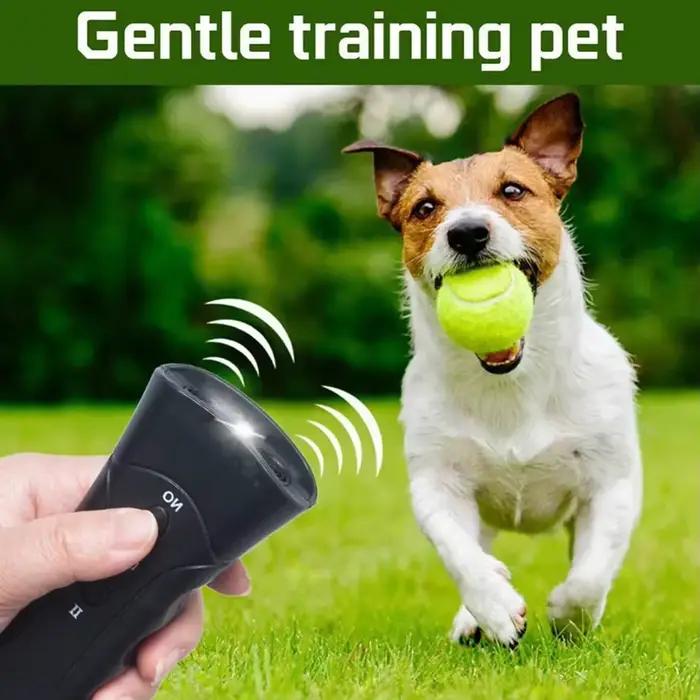 Dispositif d'entraînement ultrasonique pour chiens