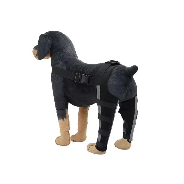 Attelle de soutien réglable pour genou de chien âgé
