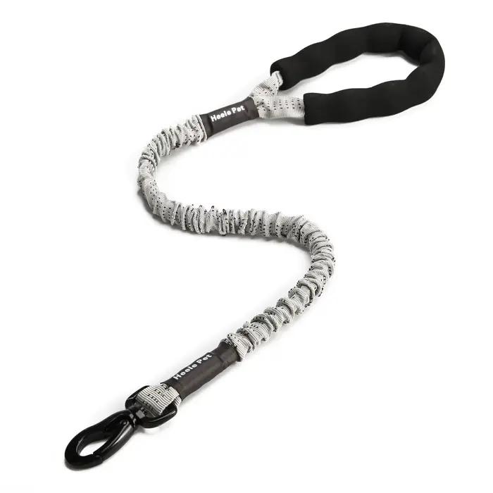 Amorti de laisse Flexible pour chien