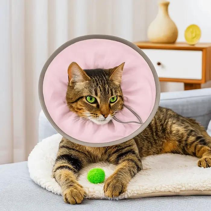 Collier élisabéthain Anti-léchage pour animaux de compagnie