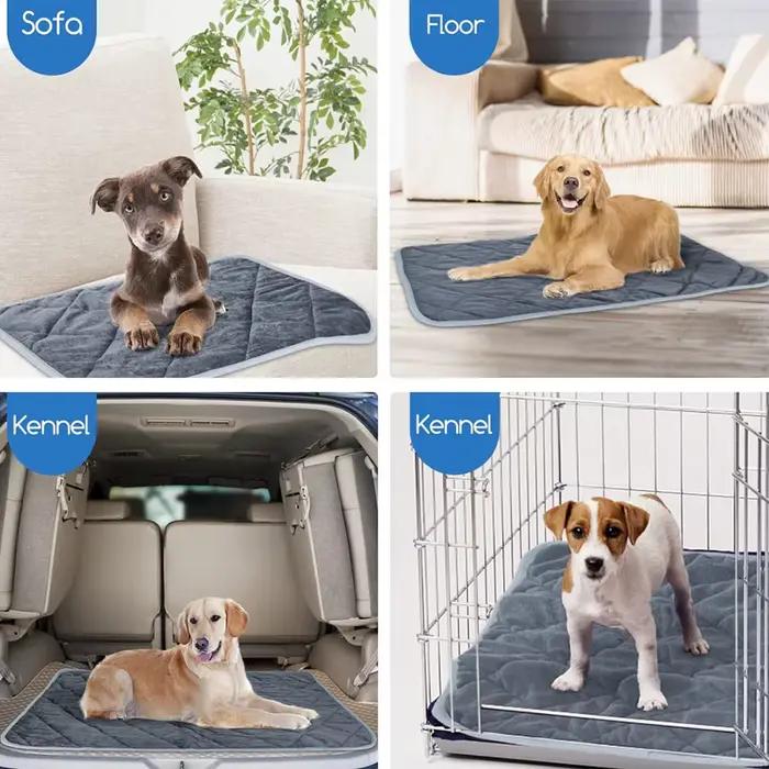 Coussin auto-chauffant pour animaux de compagnie