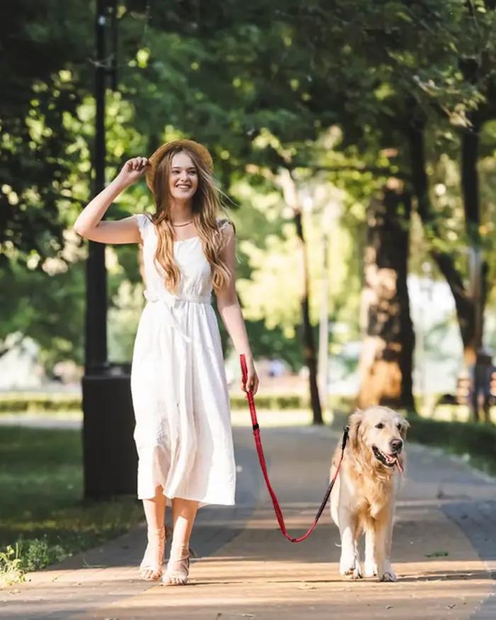 Laisse tactique pour chien robuste