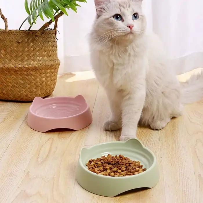 Filles d'Alimentation en Plastique de Grande Capacité pour Chat et Chien