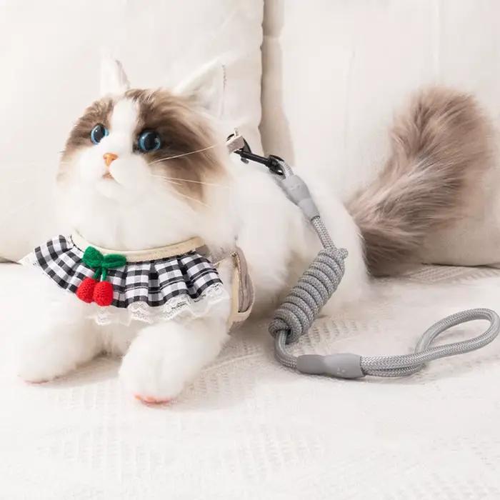 Laisse SFP mignonne pour petit chien et chat