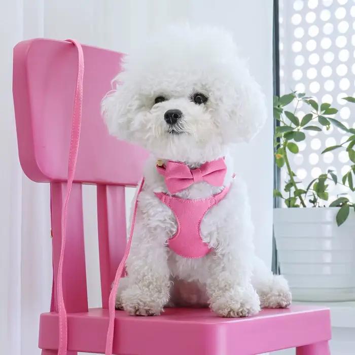 Small Dog Collar Harness Leash Set Cute Dog Collars With Bowknot Adjustable Pet Harnesses Vest