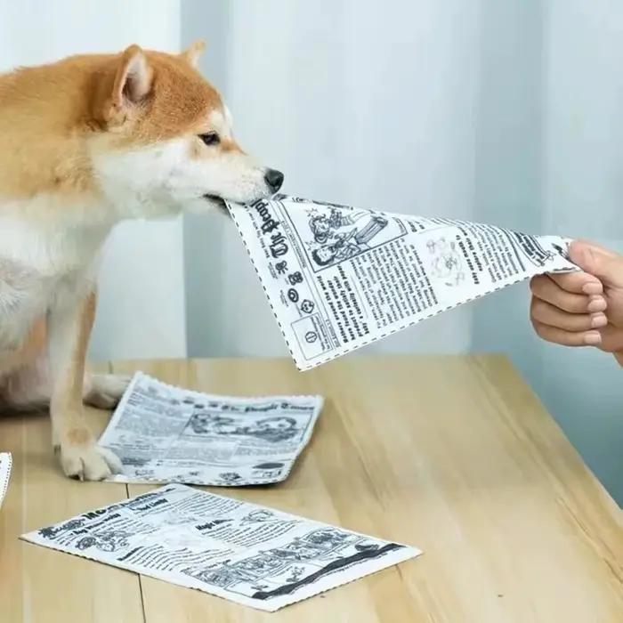 Jouet sonore anti-déchirure pour chien