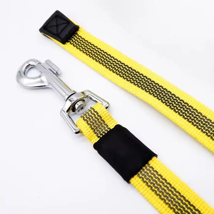 Laisse pour chien de 5m