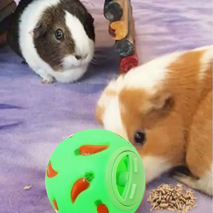 Jouet coule en forme de lapin pour animal de compagnie