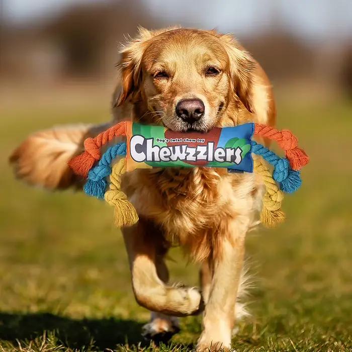 Jouet arc-en-ciel pour chien