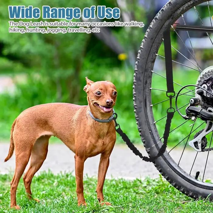 Laisse de vélo mains libres pour chien