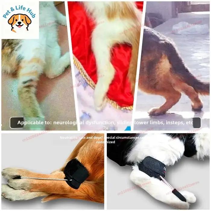 Harnais de soutien pour pattes arrière de chien handicapé