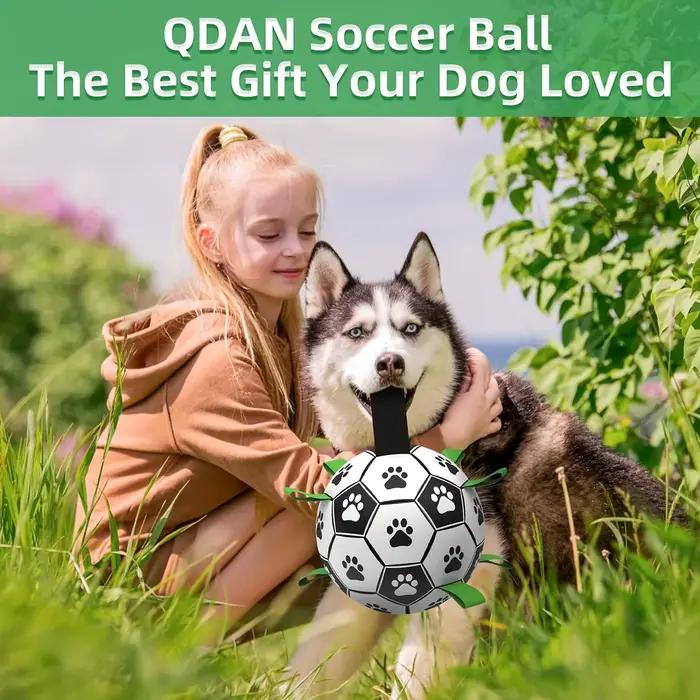 Damaly, jouet interactif de football pour chien avec anneau de poignée