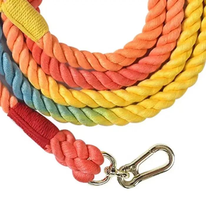 Laisse multifonctionnelle à double tête pour chien