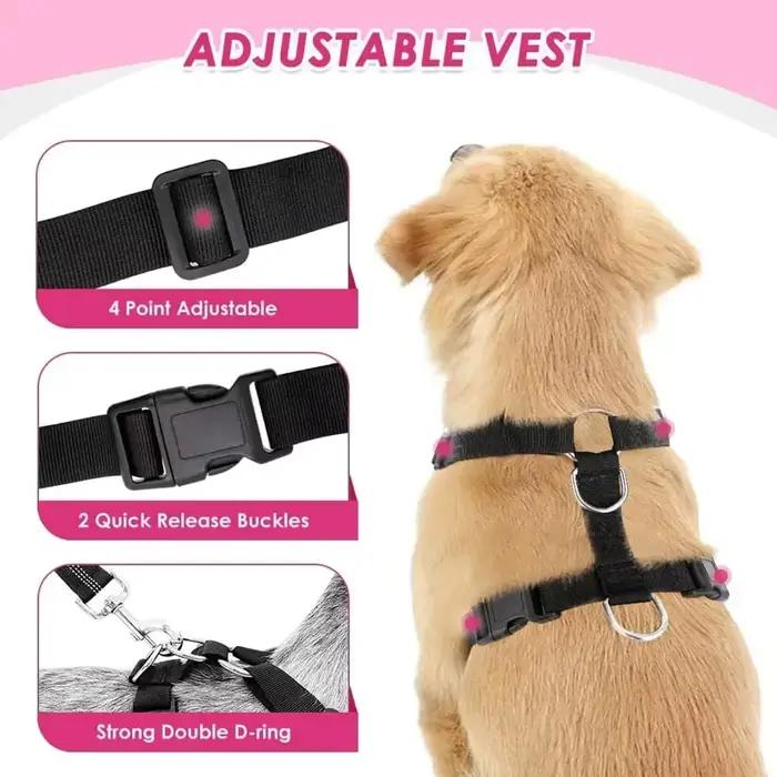 TWindsor-Ensemble de ceinture de sécurité pour voiture pour chien