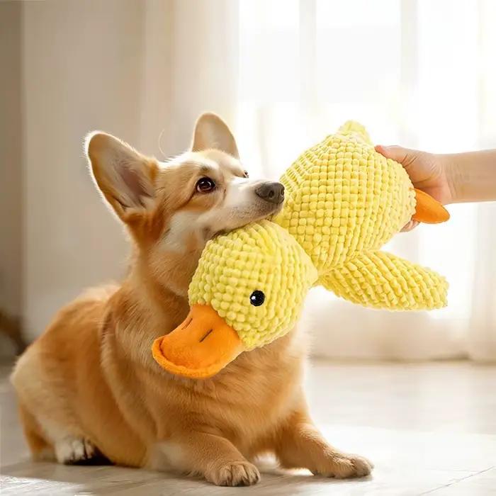 Jouet pour chien en peluche résistant aux morsures