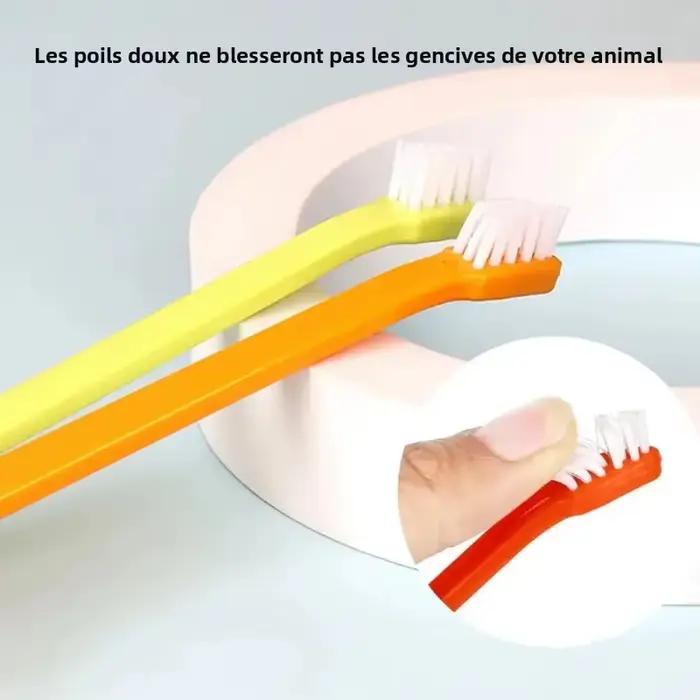 Brosse de nettoyage pour dents de chat et chien