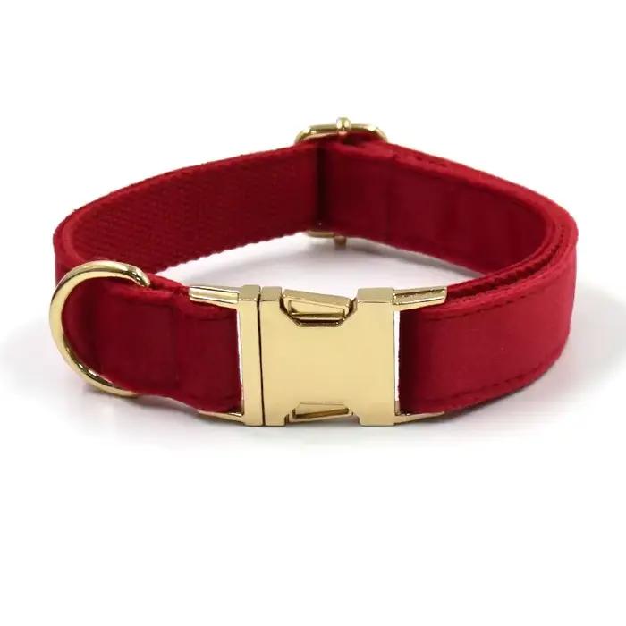 Collier de chien personnalisé