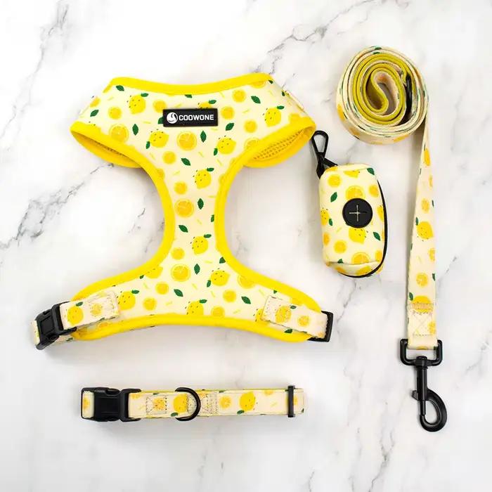 Collarlogo réglable collier pour chien de compagnie Durable doux mignon créatif citron conception laisse néoprène harnais merde caca sac distributeur