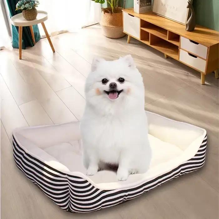 Lit pour chien, maison pour chiot