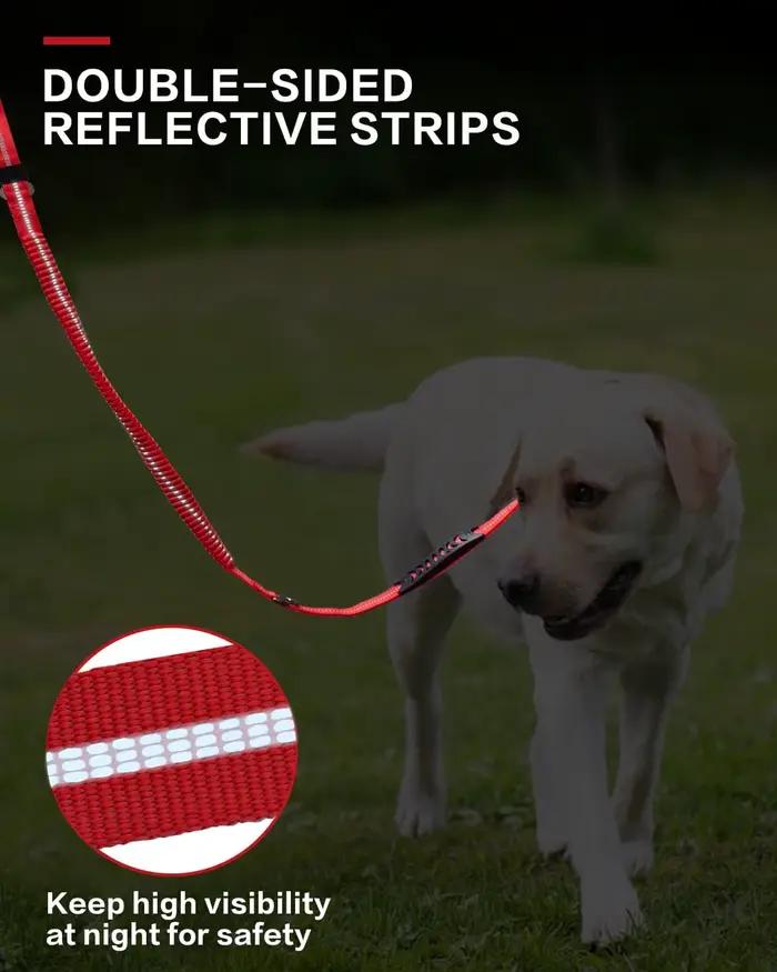 Laisse tactique pour chien robuste