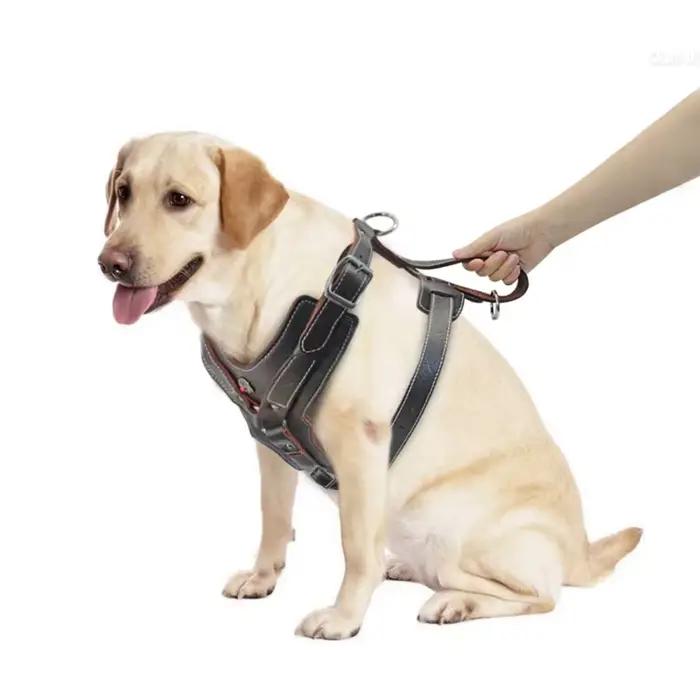 Harnais Durable pour chiens de grande taille