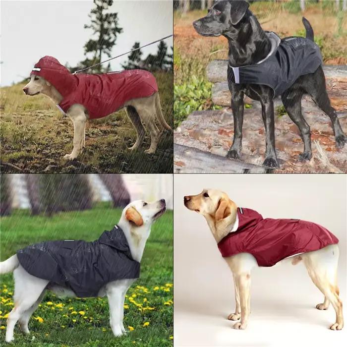 Manteau imperméable pour chien