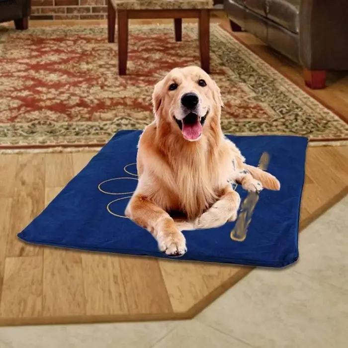 Coussin chauffant pour animaux de compagnie