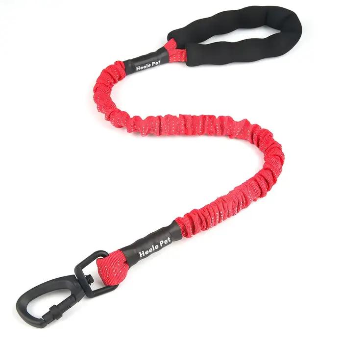 Amorti de laisse Flexible pour chien