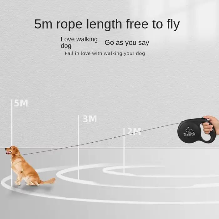 Laisse pour chien avec ULrétractable automatique