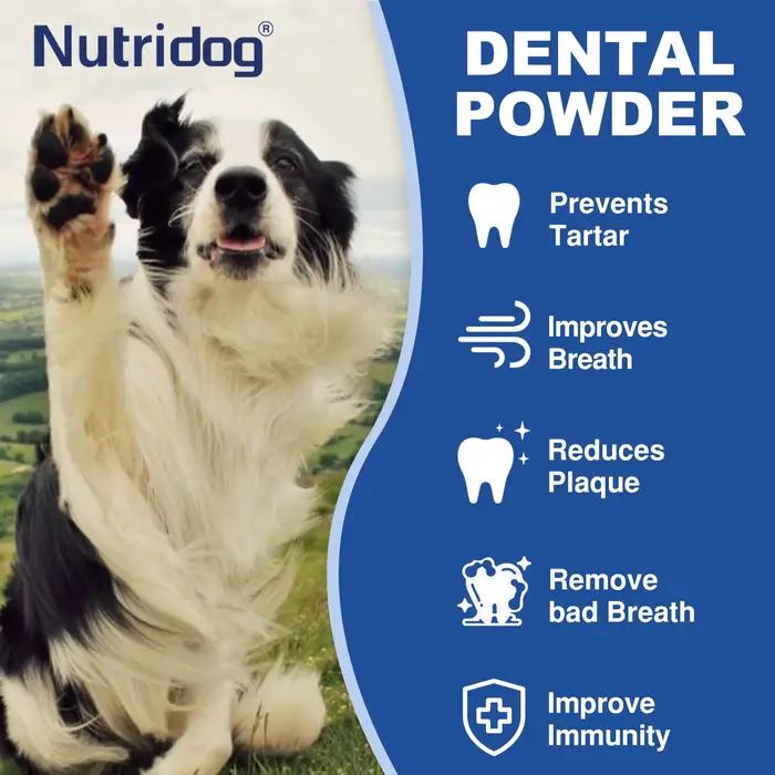 NUTRIDOG – poudre de soins dentaires avec dissolvant de Plaque de thé vert pour chiens et chats