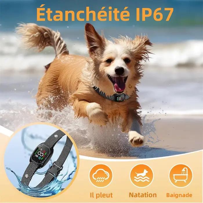 Collier de Dressage Anti Aboiement Sans Choc pour Chien Petit et Moyen 4 Modes 8 Niveaux Sensibilité Imperméable Rechargeable Léger et Durable