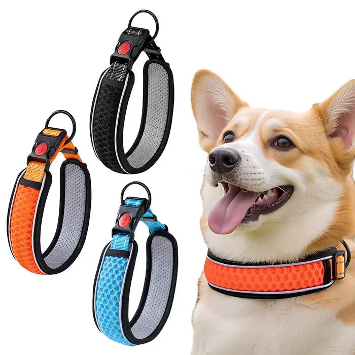 Collier pour chien, sangle de cou réglable pour la promenade