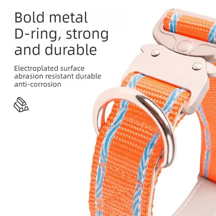 Collier anti-évasion réglable pour animaux de compagnie avec boucle pour la promenade en extérieur