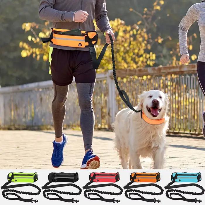 Laisse pour chien mains libres pour la course et la marche