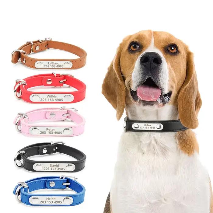 Collier pour chien de compagnie avec étiquette de nom gravée