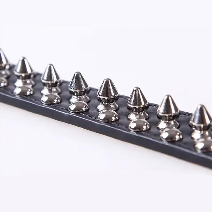 Collier de chien pour petit