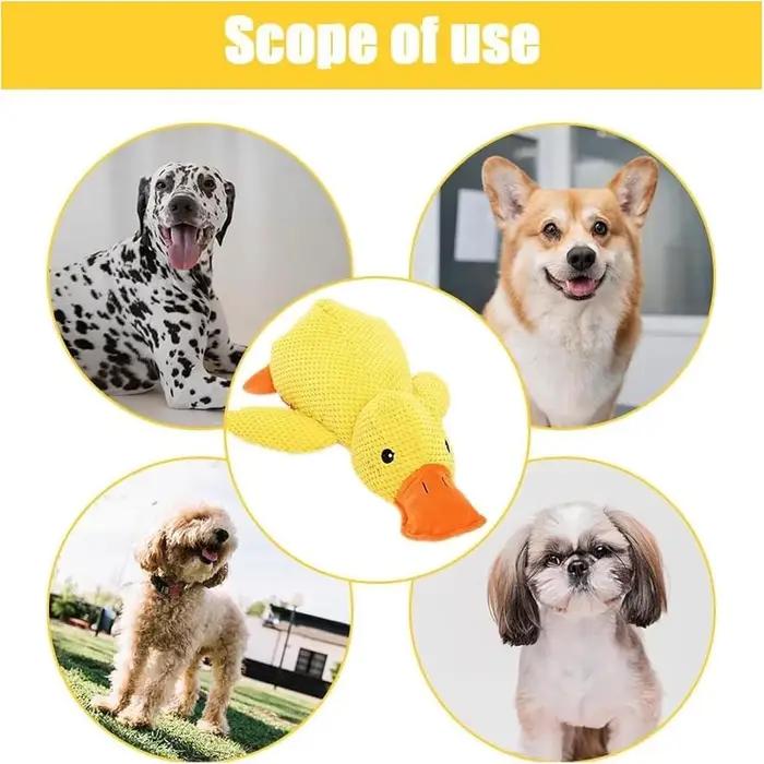 Jouet à mâcher pour chien canard grinçant