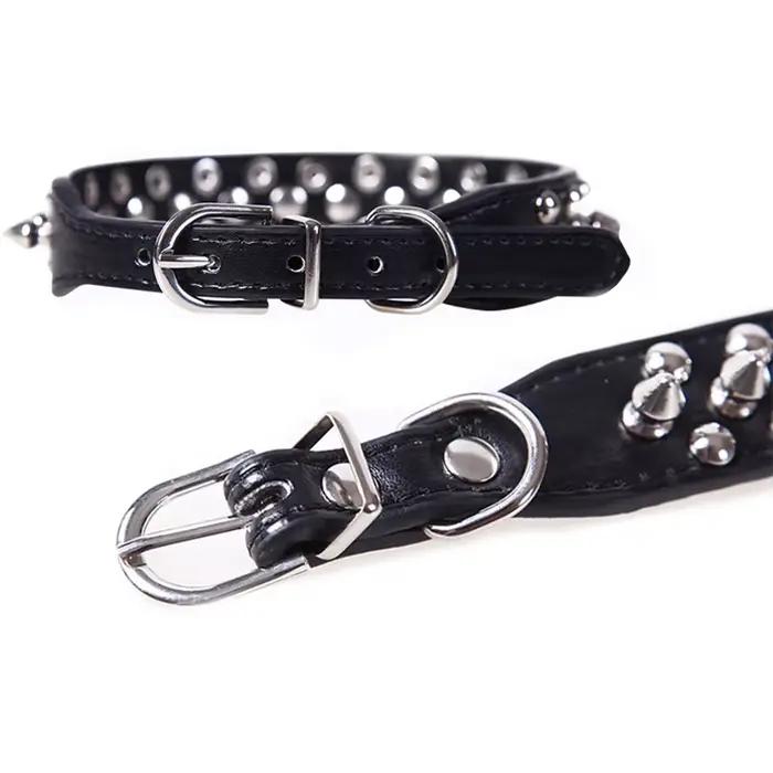 Collier de chien pour petit