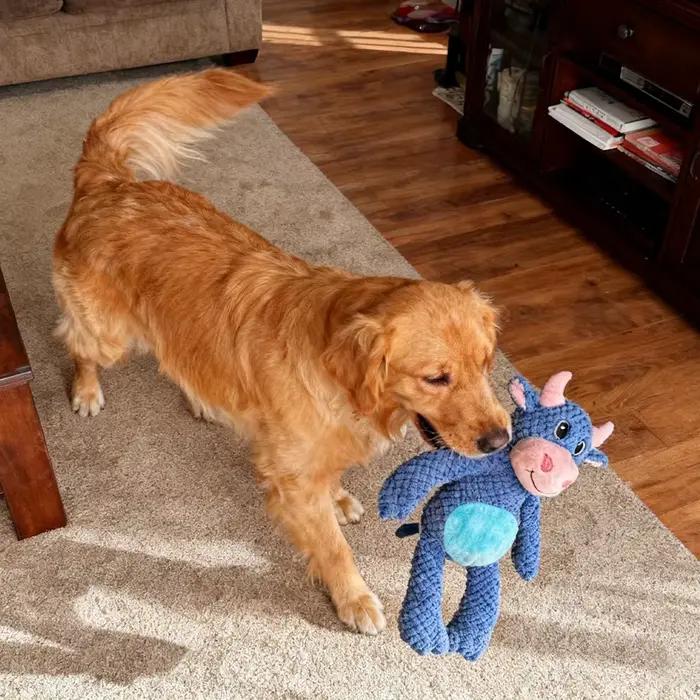 Jouet en peluche interactif durable pour chien