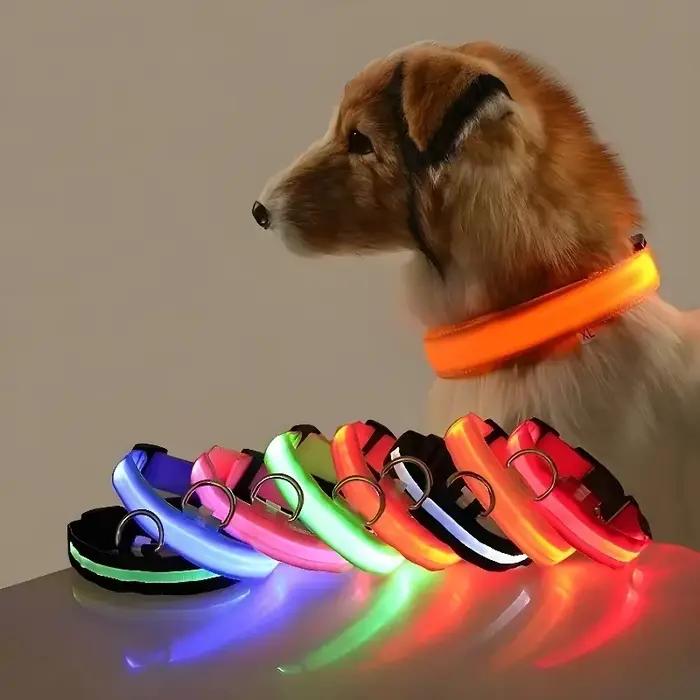 Collier pour chien en Nylon LED sécurité nocturne clignotant lueur dans la nuit laisse
